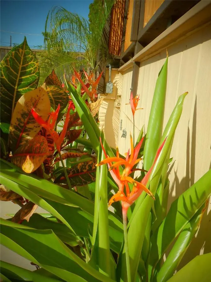 *** Bed & Breakfast The Guest House Lahaina United States